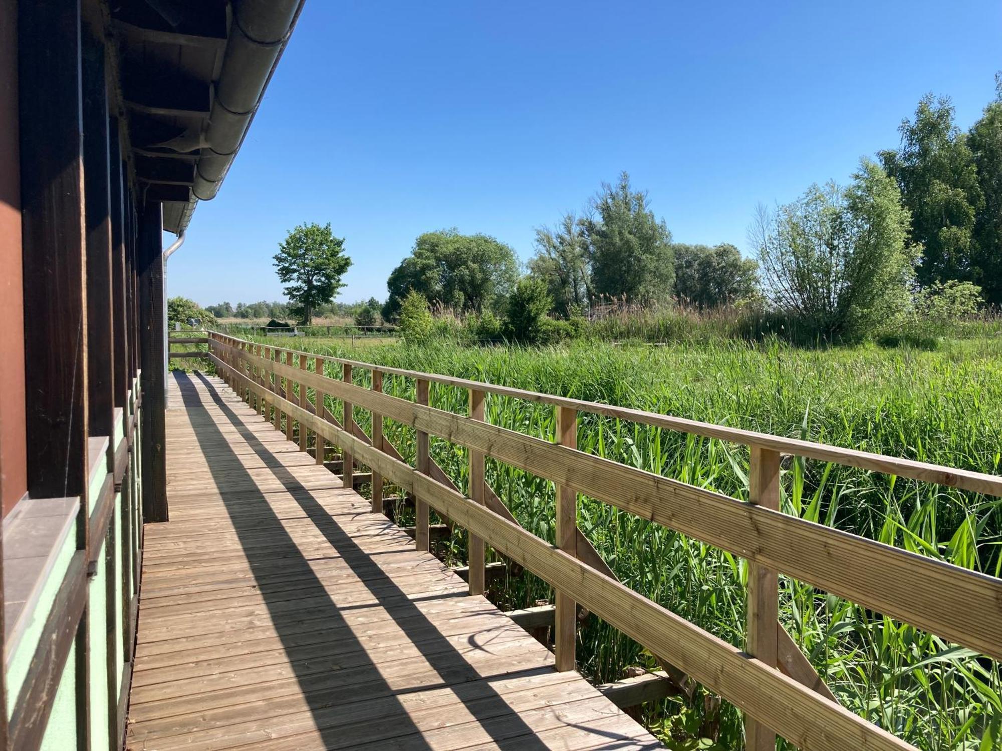 Teichland Linum Apartments Fehrbellin Екстериор снимка